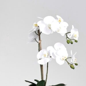 centro de orquídea blanca con maceta de cerámica blanca/gris