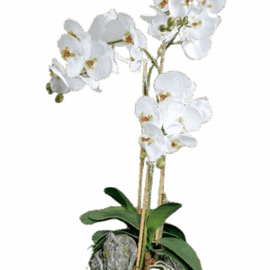 CENTRO ORQUÍDEA BLANCA CON BASE MUSGO RAIZ 63 CM FLOR ARTIFICIAL