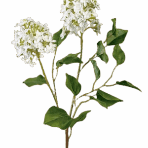 LILAS CRUDAS CON HOJA 83 CM