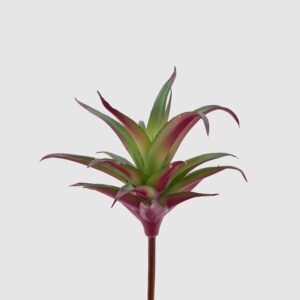 agave verde 23 cm