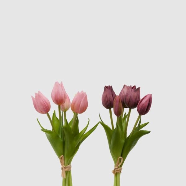 foto tulipanes