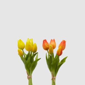 foto tulipanes