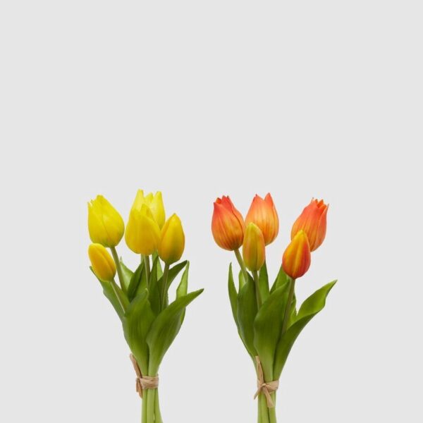 foto tulipanes
