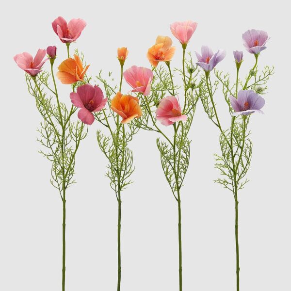 foto cosmos
