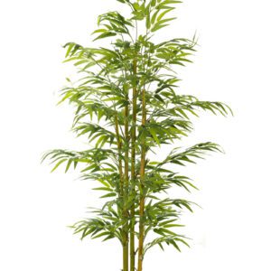 ARBOL BAMBU ORIENTAL CON MACETA PLASTICO NEGRA ALTO 180 CM