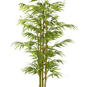 ARBOL BAMBU ORIENTAL CON MACETA PLASTICO NEGRA ALTO 210 CM