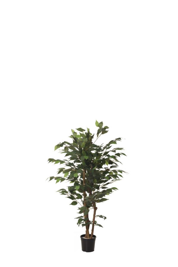 ARBOL FICUS CON MACETA PLASTICO NEGRA ALTO 120 CM