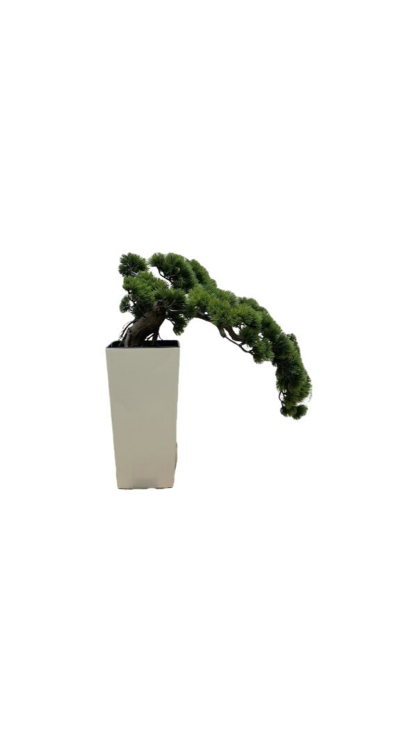 BONSÁI VERDE 40 CM