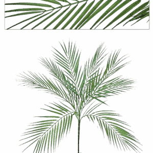 RAMA ARECA DE EXTERIOR VERDE ALTO 60 CM