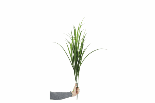 GRAMINACEAS HIERBAS DE EXTERIOR UV VERDE ALTO 90 CM