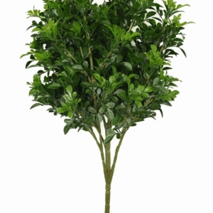 BOJ DE EXTERIOR VERDE ALTO 50 CM