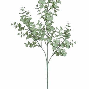 EUCALIPTO VERDE GRISACEO 62 CM