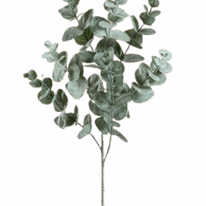 EUCALIPTO VERDE GRISACEO GRANDE 62 CM