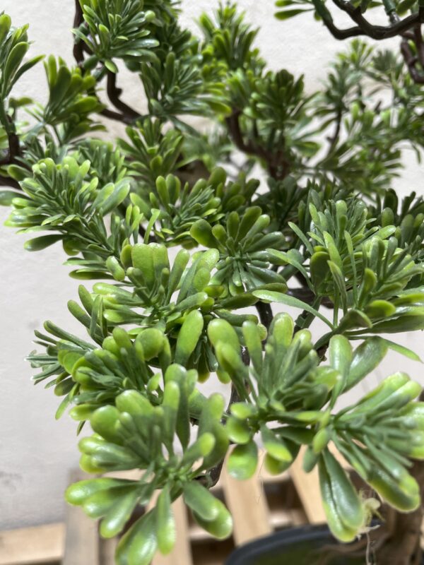 BONSÁI VERDE CON MACETA NEGRA DE PLÁSTICO 75 CM - Imagen 2