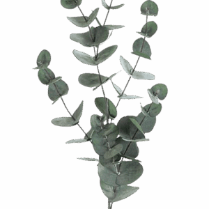 EUCALIPTO VERDE OSCURO 85 CM