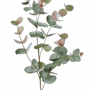 EUCALIPTO VERDE OSCURO 85 CM