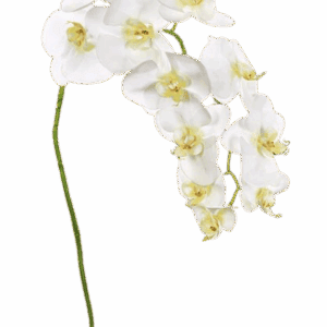 ORQUIDEA BLANCA 99 CM SIN HOJA