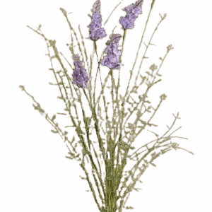 LAVANDA MORADA ALTO 57 CM