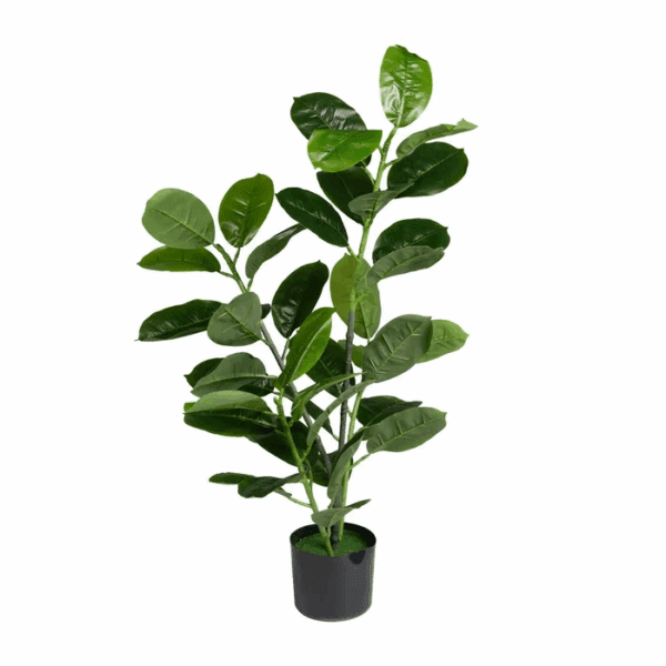 MINI ARBOL FICUS CON MACETA PLASTICO NEGRA ALTO 65 CM