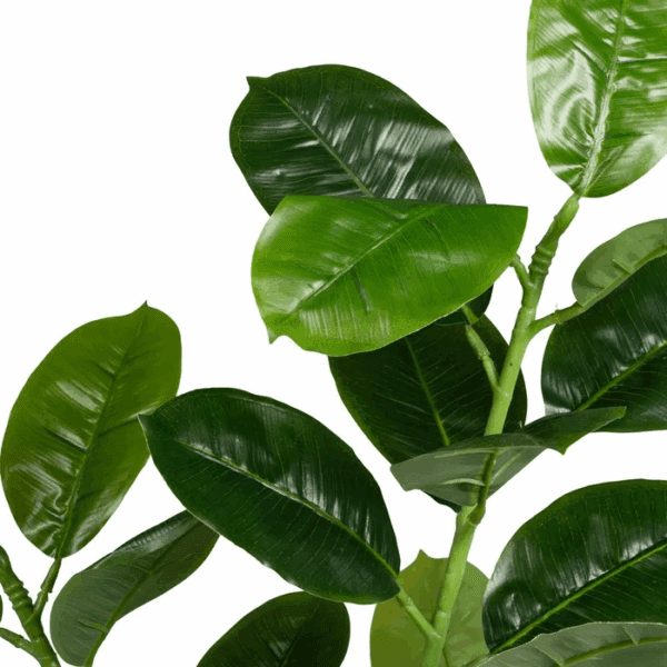 MINI ARBOL FICUS CON MACETA PLASTICO NEGRA ALTO 65 CM - Imagen 2